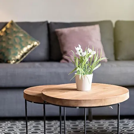 Stanford/ Cosy - Centre-ville /netflix-wifi/ Apartment Rouen